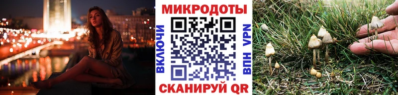 Галлюциногенные грибы ЛСД  ОМГ ОМГ ТОР  Инта 